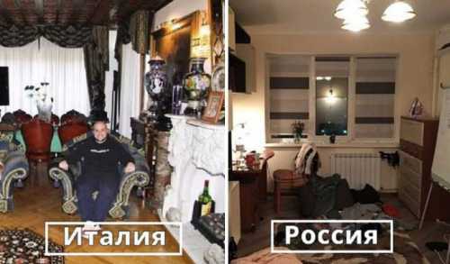 хозяин приказал хаски идти в будку, но точно не ожидал услышать такое в ответ вас поразит этот пёс хозяин приказал хаски идти в будку, но точно не ожидал услышать такое в ответ вас поразит этот пёс